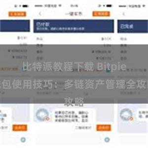 比特派教程下载 Bitpie钱包使用技巧：多链资产管理全攻略