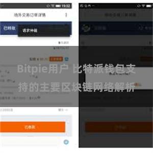 Bitpie用户 比特派钱包支持的主要区块链网络解析