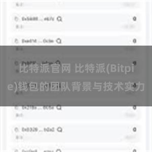 比特派官网 比特派(Bitpie)钱包的团队背景与技术实力