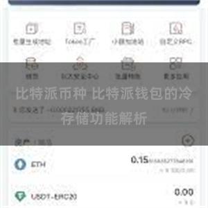 比特派币种 比特派钱包的冷存储功能解析